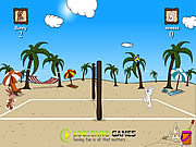 nyuszis - Beach volleyball game
